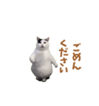動く！踊る猫ミーム(パート25)（個別スタンプ：10）
