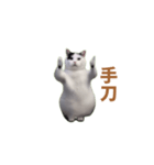 動く！踊る猫ミーム(パート25)（個別スタンプ：17）