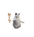 動く！踊る猫ミーム(パート25)（個別スタンプ：18）