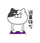 【関西弁】わるニャン7（個別スタンプ：35）