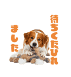 コーイケルホンディエ 1（個別スタンプ：14）