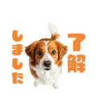 コーイケルホンディエ 1（個別スタンプ：18）