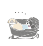 シーズーとのかわいい毎日（個別スタンプ：5）