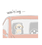 シーズーとのかわいい毎日（個別スタンプ：6）