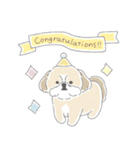 シーズーとのかわいい毎日（個別スタンプ：19）