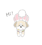 シーズーとのかわいい毎日（個別スタンプ：20）