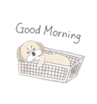シーズーとのかわいい毎日（個別スタンプ：21）