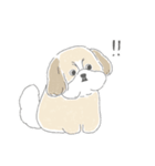 シーズーとのかわいい毎日（個別スタンプ：27）