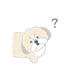 シーズーとのかわいい毎日（個別スタンプ：35）
