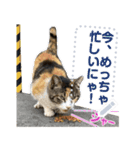 サプライズ部No12（個別スタンプ：3）