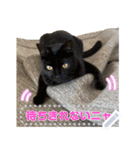 サプライズ部No12（個別スタンプ：5）