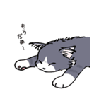 ラテとメルク（個別スタンプ：4）