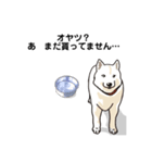 しば犬白太郎の気持ち（個別スタンプ：2）