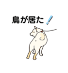 しば犬白太郎の気持ち（個別スタンプ：3）