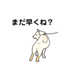 しば犬白太郎の気持ち（個別スタンプ：4）