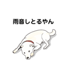 しば犬白太郎の気持ち（個別スタンプ：5）