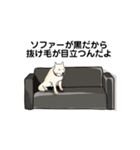 しば犬白太郎の気持ち（個別スタンプ：8）