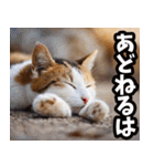 秋田弁☆にゃんこ（個別スタンプ：39）