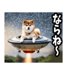 熊本弁☆柴犬（個別スタンプ：11）