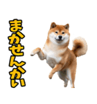 熊本弁☆柴犬（個別スタンプ：18）