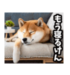 熊本弁☆柴犬（個別スタンプ：40）