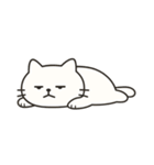 だいたいそんなねこ◎（個別スタンプ：26）