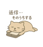 だいたいそんなねこ（個別スタンプ：10）