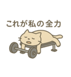 だいたいそんなねこ（個別スタンプ：15）
