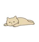 だいたいそんなねこ（個別スタンプ：38）