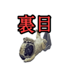 【革命児】名言集。（個別スタンプ：1）