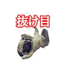 【革命児】名言集。（個別スタンプ：2）
