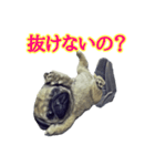 【革命児】名言集。（個別スタンプ：4）