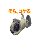 【革命児】名言集。（個別スタンプ：5）
