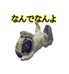 【革命児】名言集。（個別スタンプ：6）