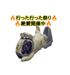 【革命児】名言集。（個別スタンプ：8）