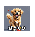 表情豊かなゴールデンレトリーバースタンプ（個別スタンプ：2）