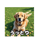 表情豊かなゴールデンレトリーバースタンプ（個別スタンプ：10）