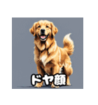 表情豊かなゴールデンレトリーバースタンプ（個別スタンプ：14）