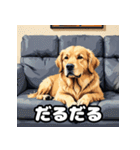 表情豊かなゴールデンレトリーバースタンプ（個別スタンプ：28）