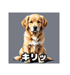 表情豊かなゴールデンレトリーバースタンプ（個別スタンプ：30）