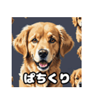 表情豊かなゴールデンレトリーバースタンプ（個別スタンプ：34）