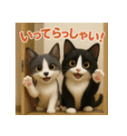 ハチワレBOYS（個別スタンプ：3）
