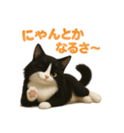 ハチワレBOYS（個別スタンプ：21）