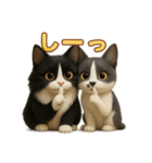ハチワレBOYS（個別スタンプ：35）