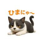ハチワレBOYS（個別スタンプ：36）