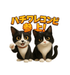 ハチワレBOYS（個別スタンプ：40）