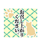 和柄と猫【挨拶】……………….（個別スタンプ：27）