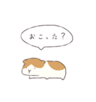 ちょんぼり丸。（個別スタンプ：26）