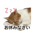 たまちゃんとレンちゃん（個別スタンプ：1）