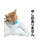 たまちゃんとレンちゃん（個別スタンプ：3）